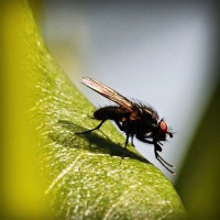 /album/fondazione-dragoncello/photolia-a04-jpg/