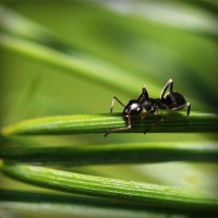 /album/fondazione-dragoncello/photolia-a05-jpg/