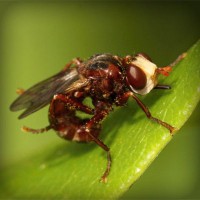 /album/fondazione-dragoncello/photolia-a06-jpg/